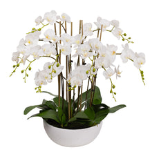 Load image into Gallery viewer, 75CM ORCHID IN WHITE BOWL

