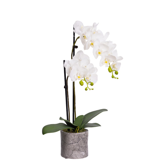 60cm Artificial Orchid in Pot White