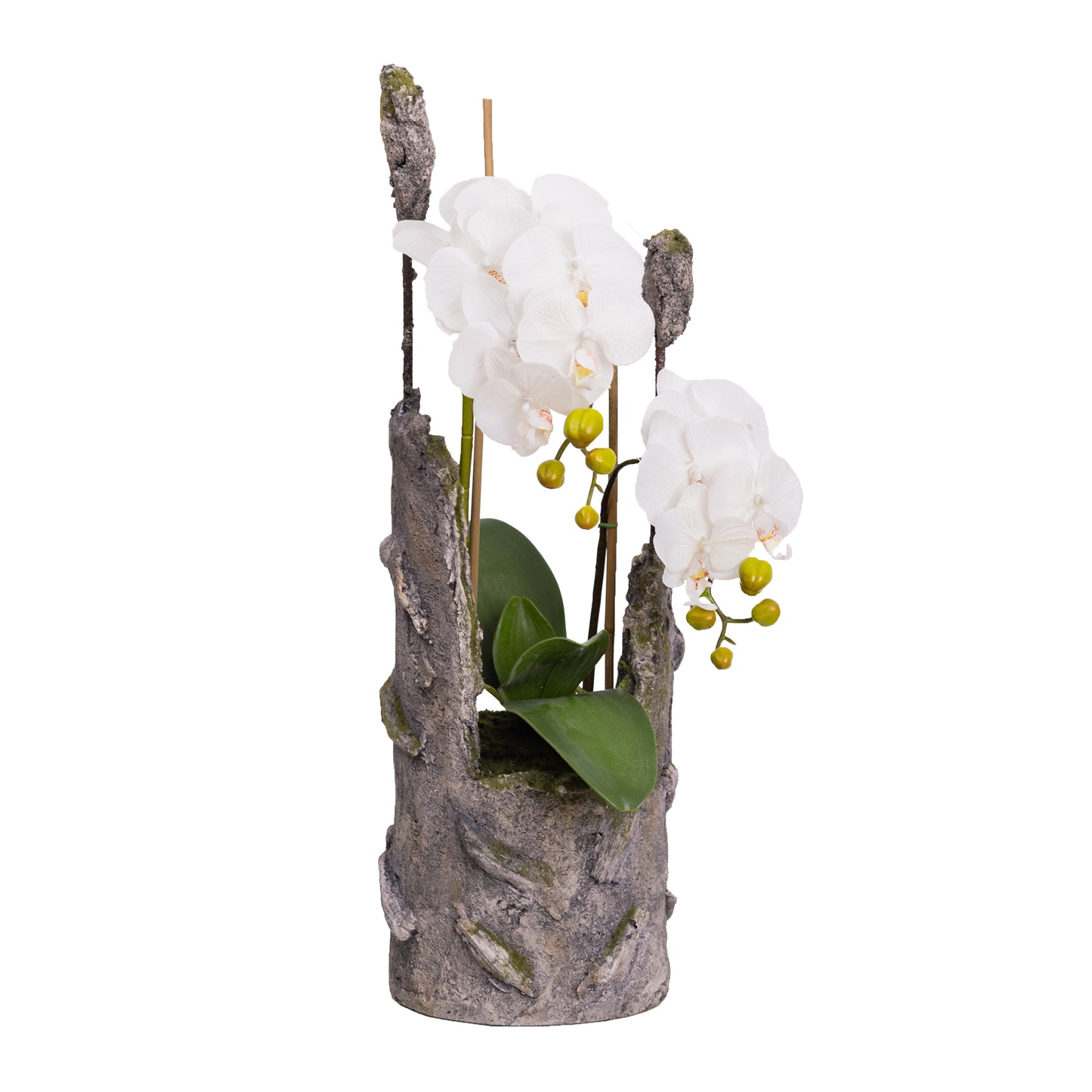 65cm Artificial Orchid in Cement