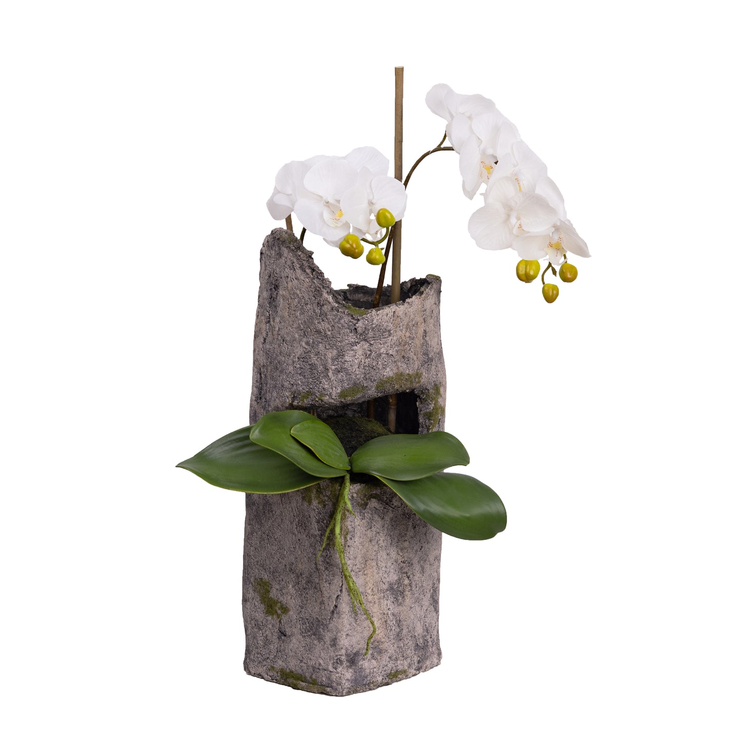 65cm Artificial Orchid in Cement