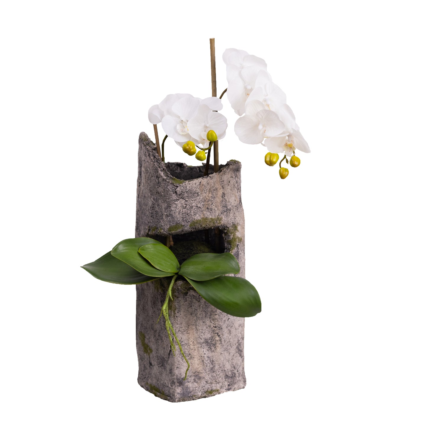 65cm Artificial Orchid in Cement