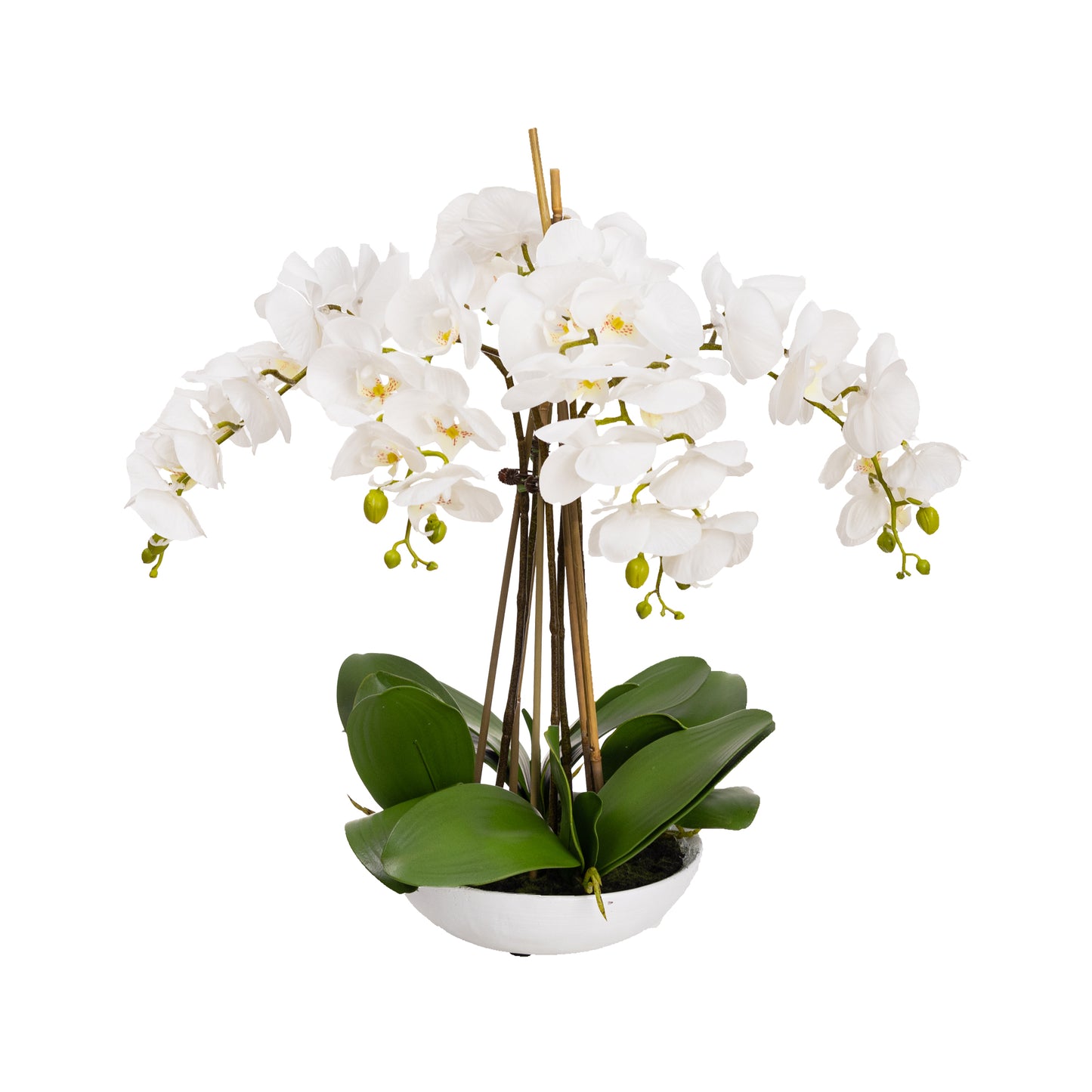 45cm Artificial Phalaenopsis Orchid in White Bowl White