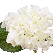 Load image into Gallery viewer, Small Hydrangea
