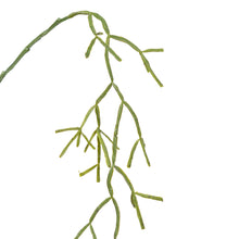 Load image into Gallery viewer, Succulent Hanging Branch
