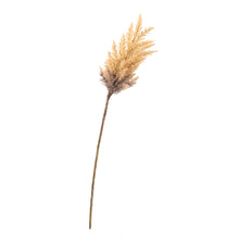 Load image into Gallery viewer, Dried Look Pamper Grass Spray
