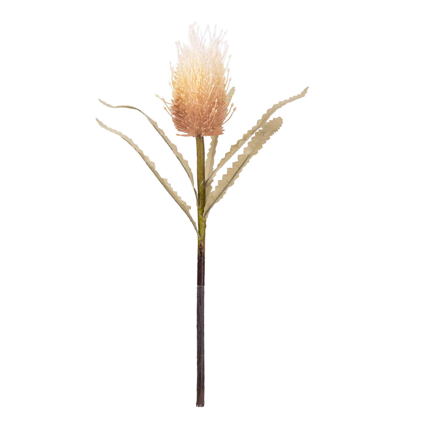 46cm Artificial Banksia Latte