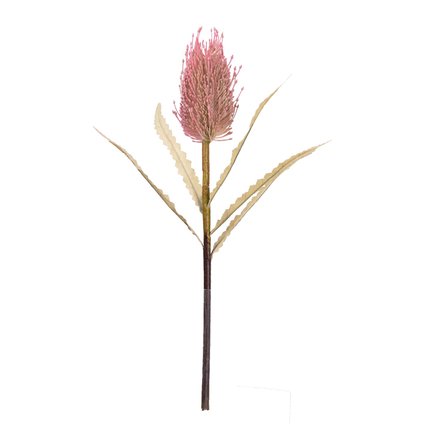 46cm Artificial Banksia Pink