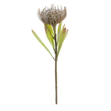 Load image into Gallery viewer, Flocked Protea Leucospermum
