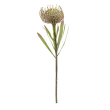 Load image into Gallery viewer, Flocked Protea Leucospermum
