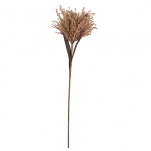 Dried Look Pamper Grass with Leaf