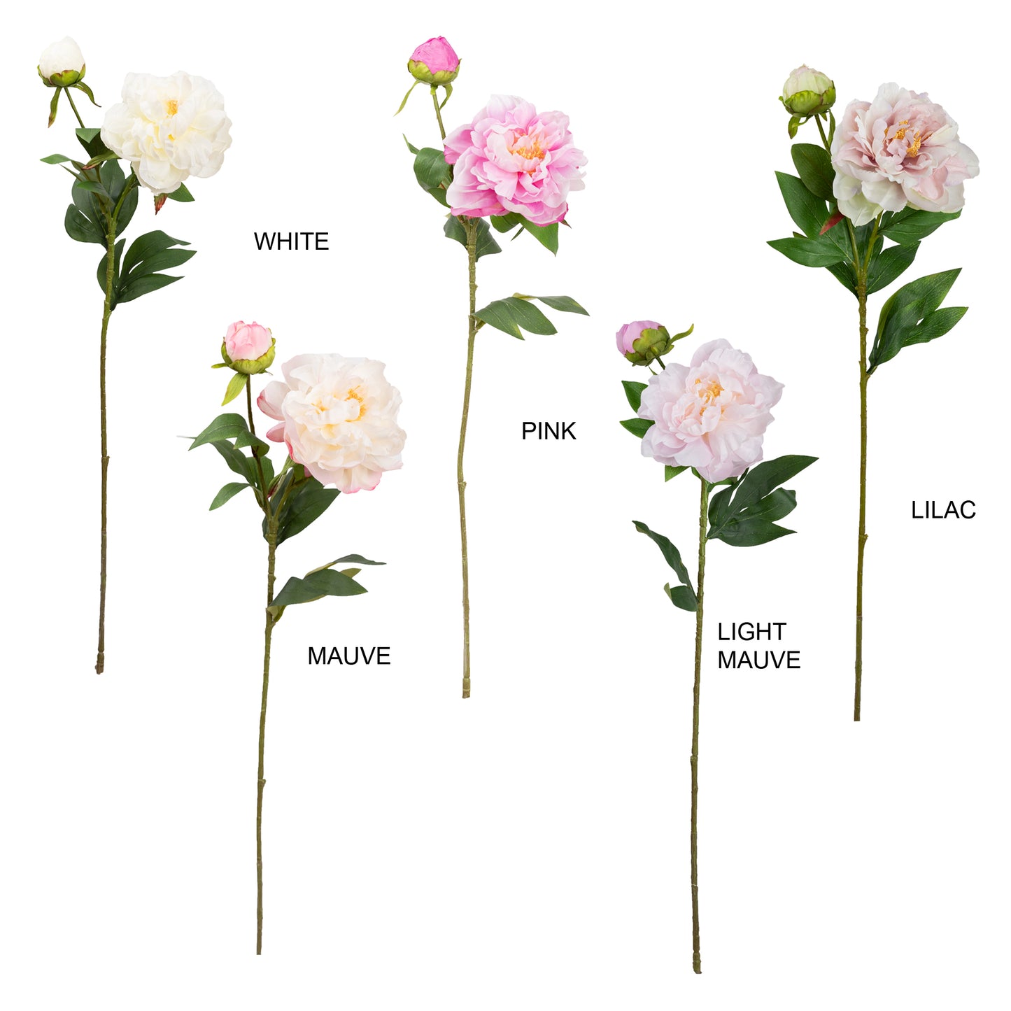 67cm Artificial Peony Spray White