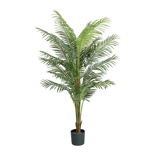 Glamorous Fusion 183cm Phoenix Palm Tree - Artificial Flower Arrangements and Artificial Plants
