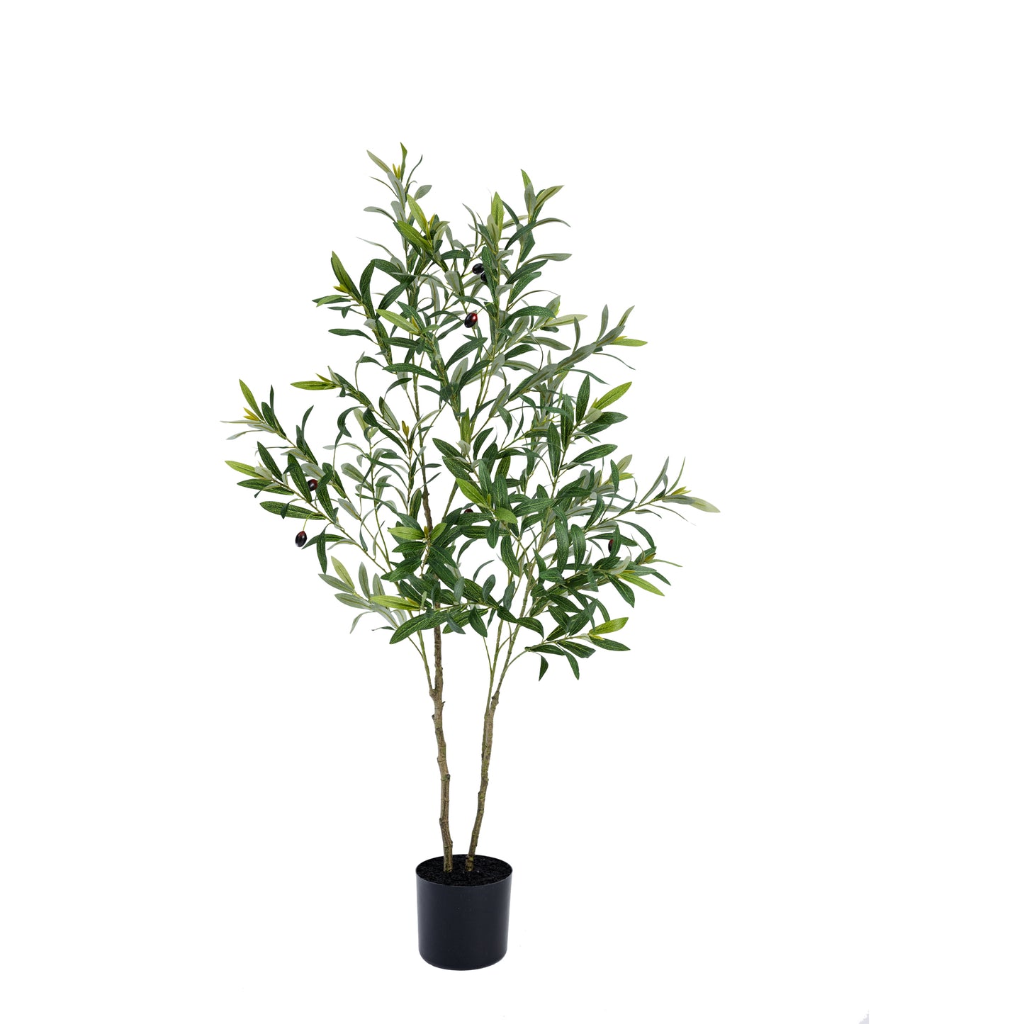 122cm Olive Tree in Pot