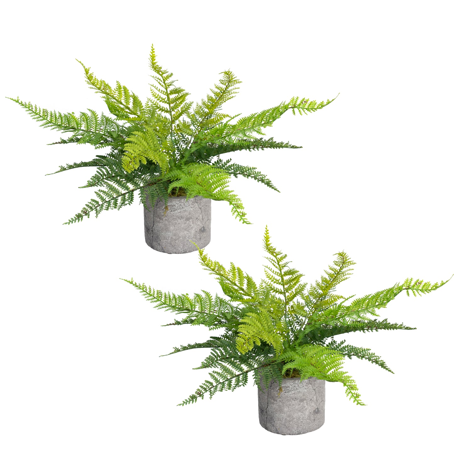 Glamorous Fusion Leather Fern Set of 2 - Artificial Flower Arrangements and Artificial Plants