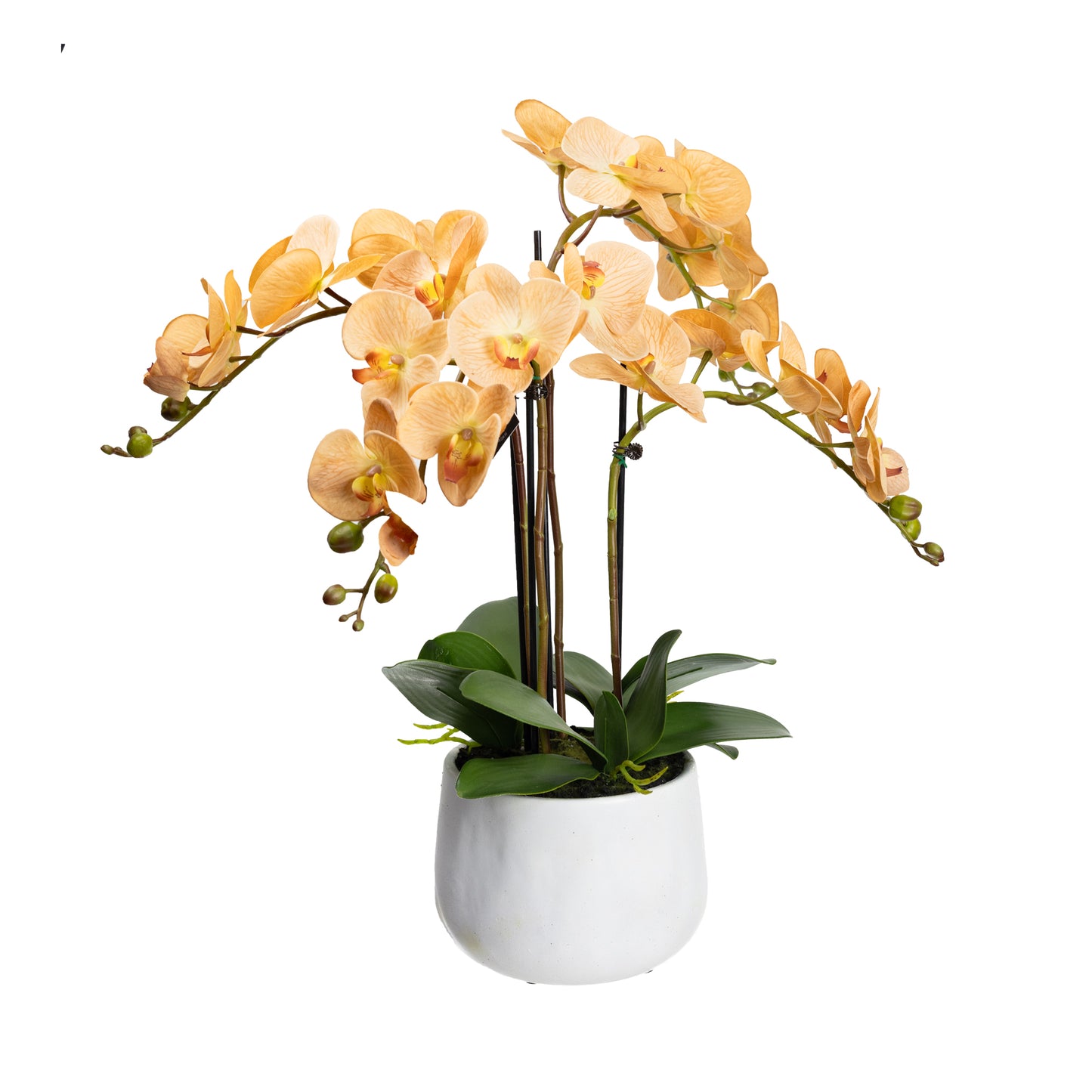 63cm Artificial Phalaenopsis Orchid in White Pot Toffee