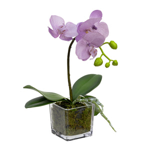Glamorous Fusion Orchid in Square Glass - Artificial Flower Arrangements and Artificial Plants