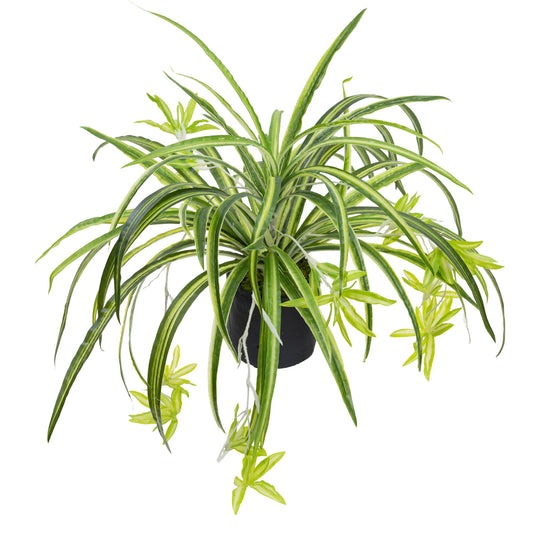 Glamorous Fusion Spider Plant in Pot - Artificial Flower Arrangements and Artificial Plants