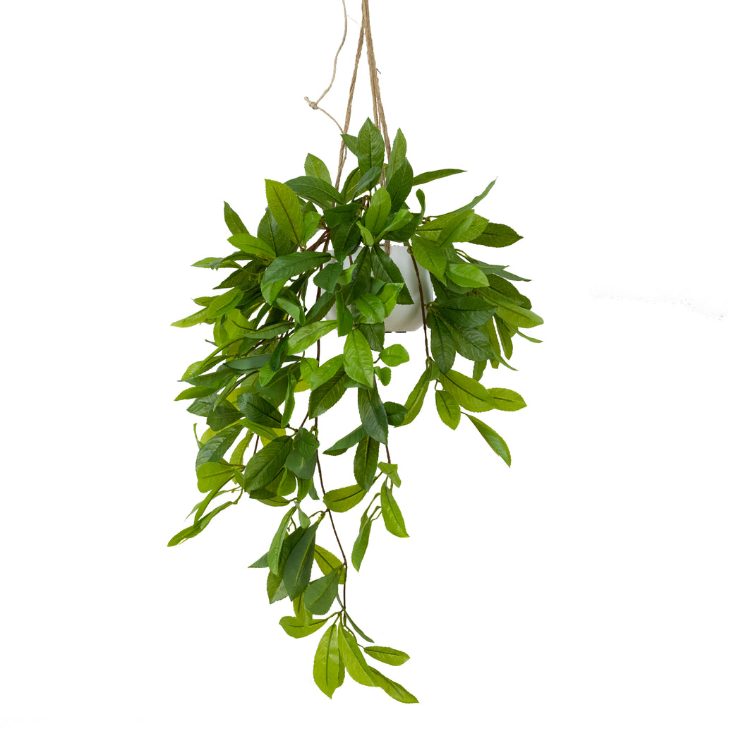 Glamorous Fusion Laurel Leaf Bush in Hanging Planter - Artificial Flower Arrangements and Artificial Plants