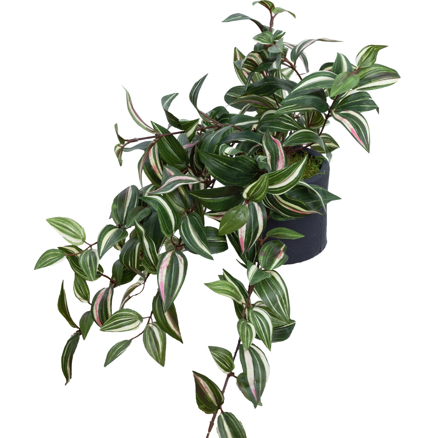 Glamorous Fusion Wandering Jew in Pot - Artificial Flower Arrangements and Artificial Plants