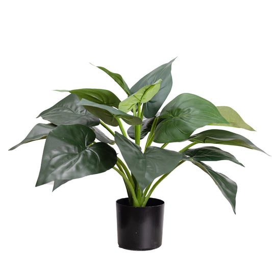 Glamorous Fusion Calathea in Pot - Artificial Flower Arrangements and Artificial Plants