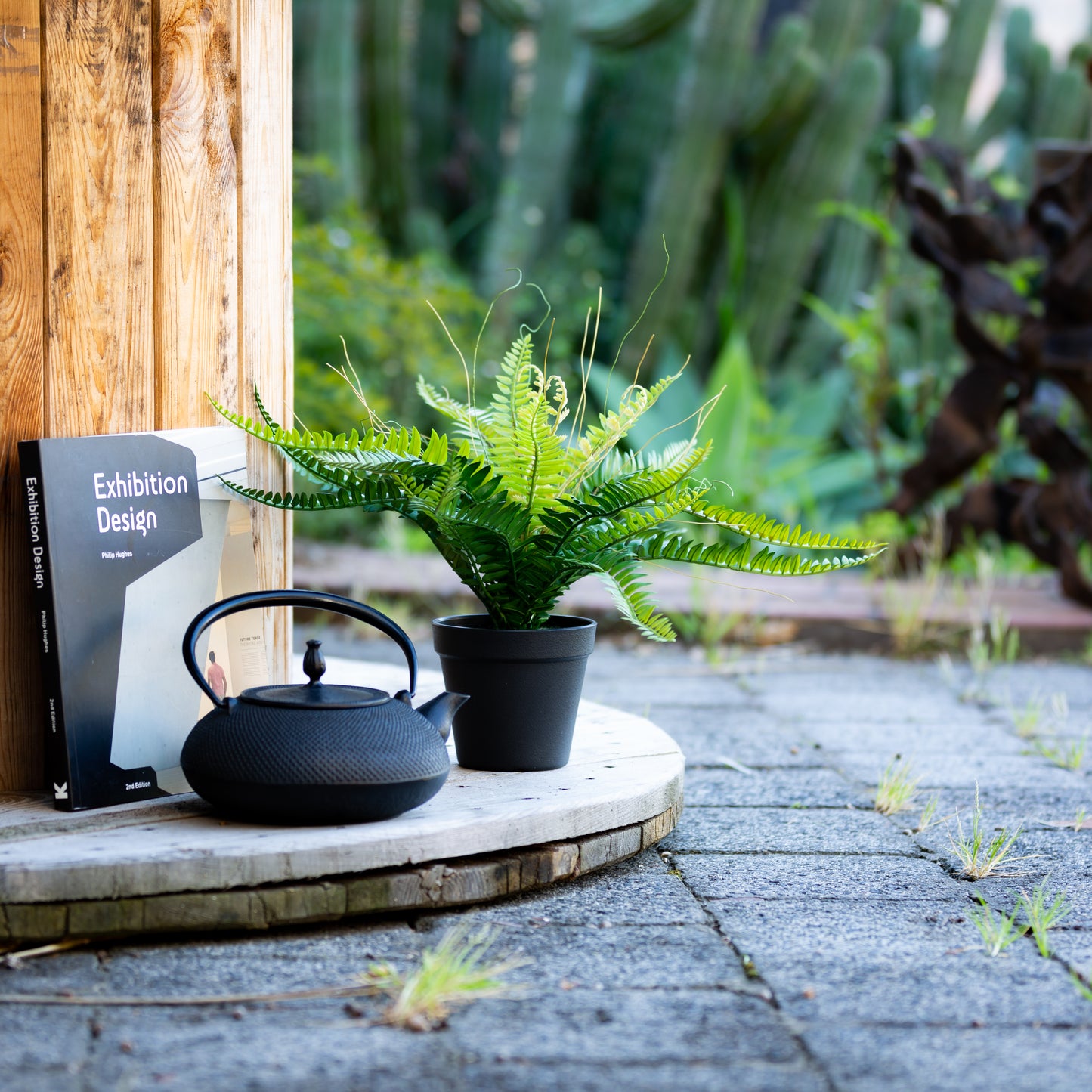 Potted Ruffle Fern Bush