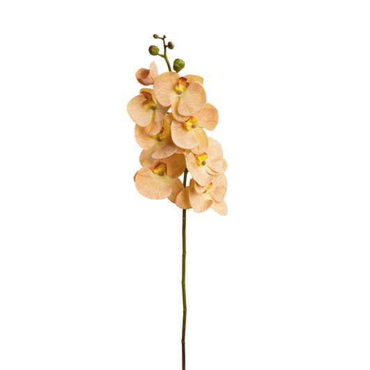 101cm Artificial Real Touch Phalaenopsis Orchid on Stem Toffee