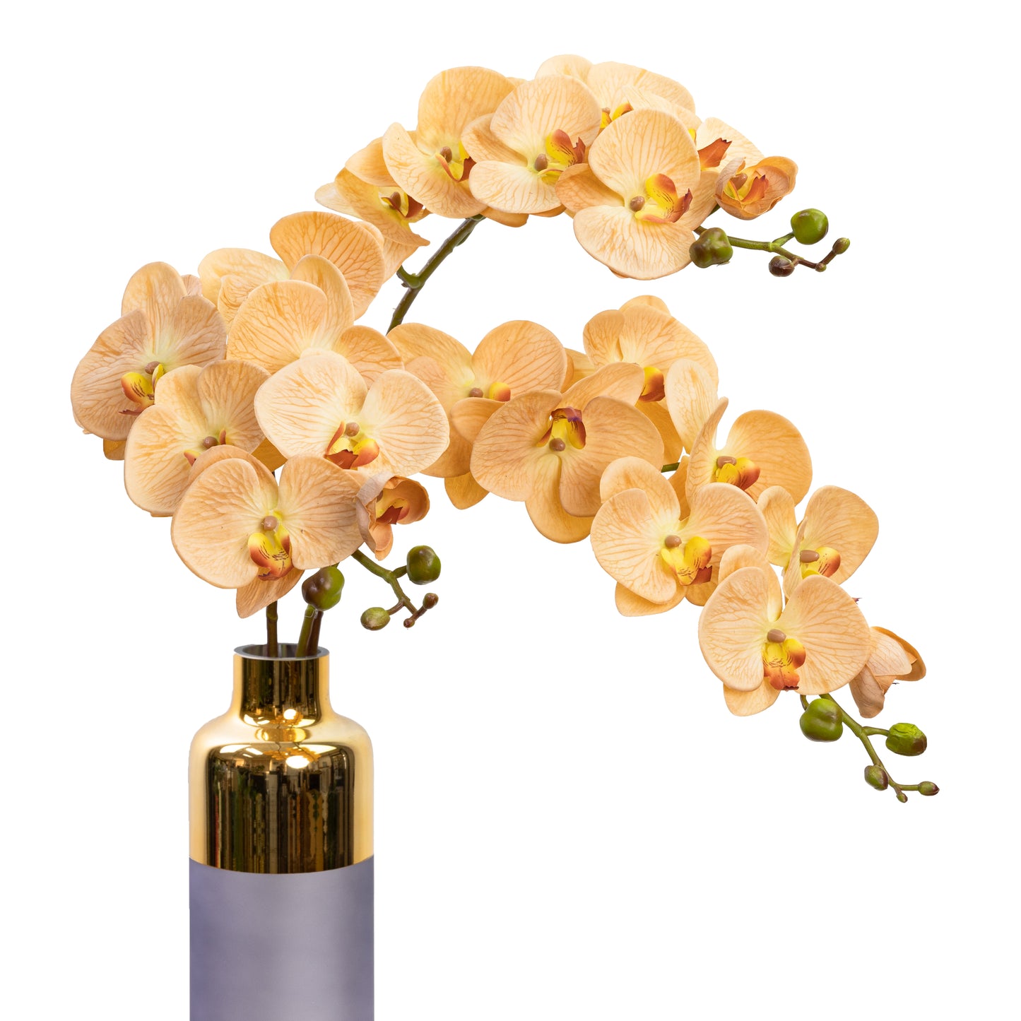 101cm Artificial Real Touch Phalaenopsis Orchid on Stem Toffee