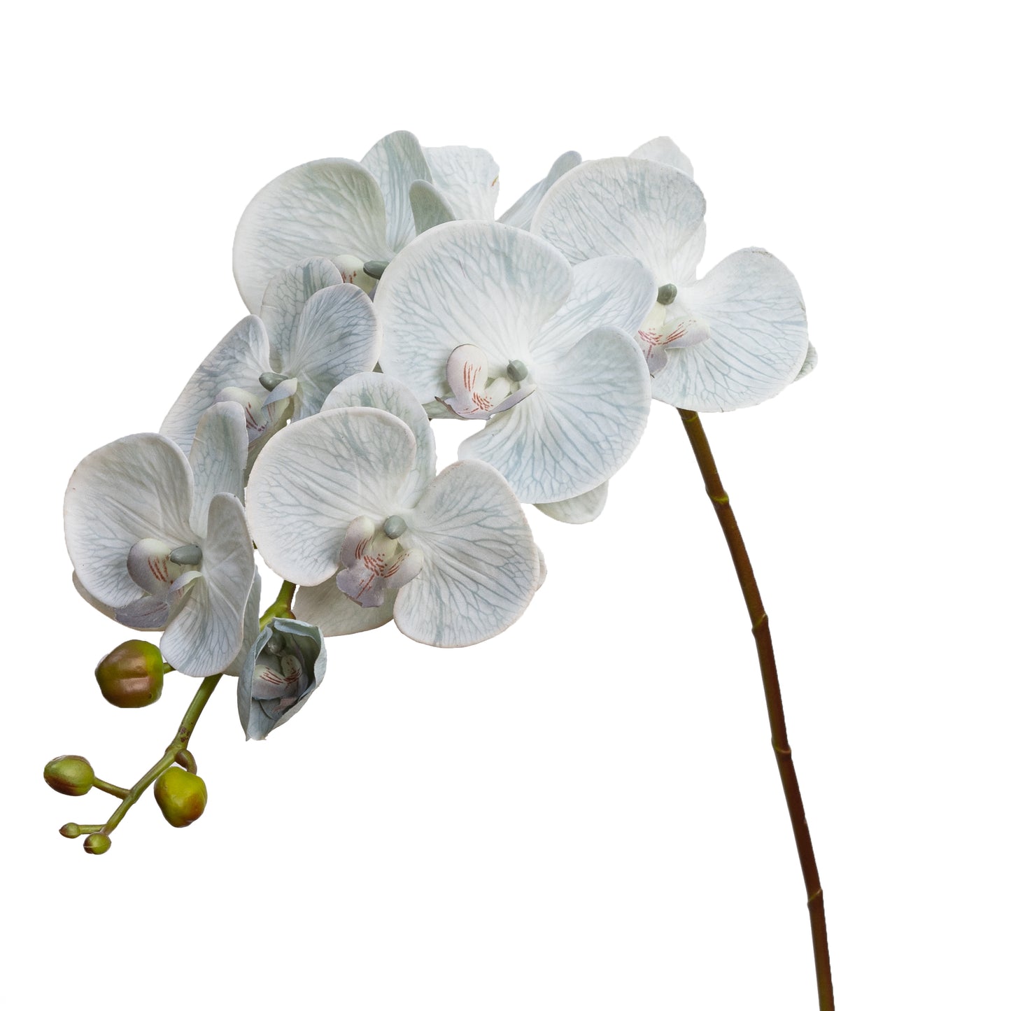 101cm Artificial Real Touch Phalaenopsis Orchid on Stem Grey