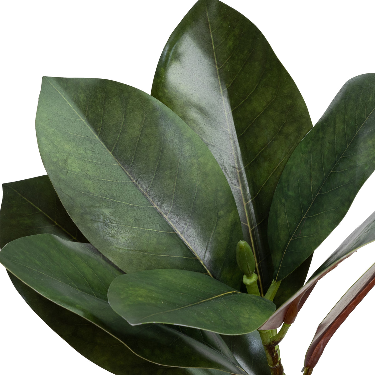 Real Touch Magnolia Leaf Glamorous Fusion