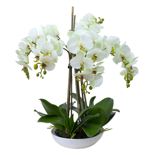 45cm Artificial Phalaenopsis Orchid in White Bowl Apple Green