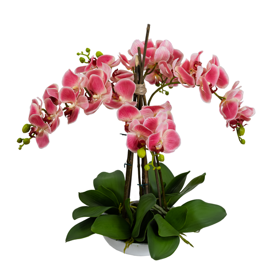 45cm Artificial Phalaenopsis Orchid in White Bowl Pink