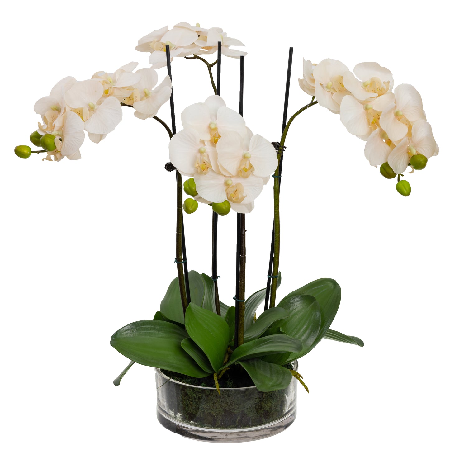 Glamorous Fusion Orchid in Cylinder Glass - Artificial Flower Arrangements and Artificial Plants