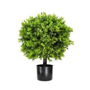 Open image in slideshow, Boxwood Ball in Pot
