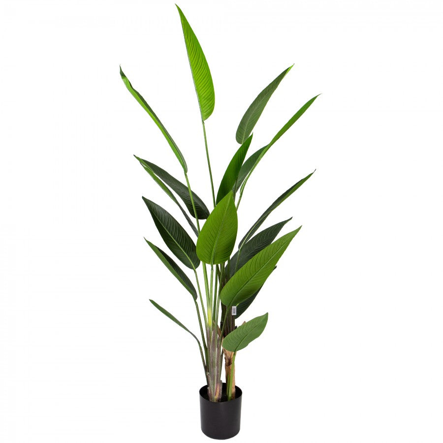 Glamorous Fusion 180cm Faux Strelitiza Leaf Plant
