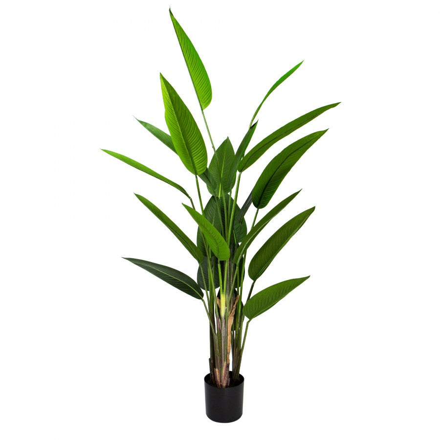 Glamorous Fusion 200cm Faux Strelitiza Leaf Plant - Artificial Flower Arrangements and Artificial Plants