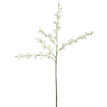 Load image into Gallery viewer, 100CM DANCING LADY ORCHID
