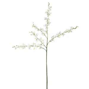 Open image in slideshow, 100CM DANCING LADY ORCHID
