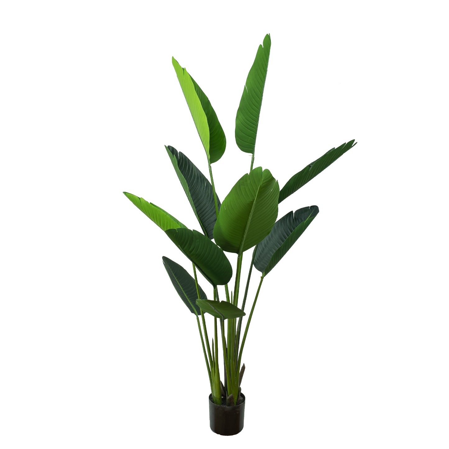 Glamorous Fusion 150cm Traveler Palm Tree - Artificial Flower Arrangements and Artificial Plants