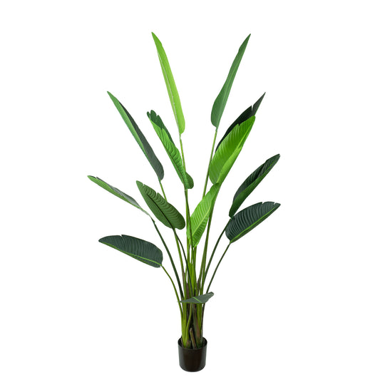 Glamorous Fusion 185cm Traveler Palm Tree - Artificial Flower Arrangements and Artificial Plants