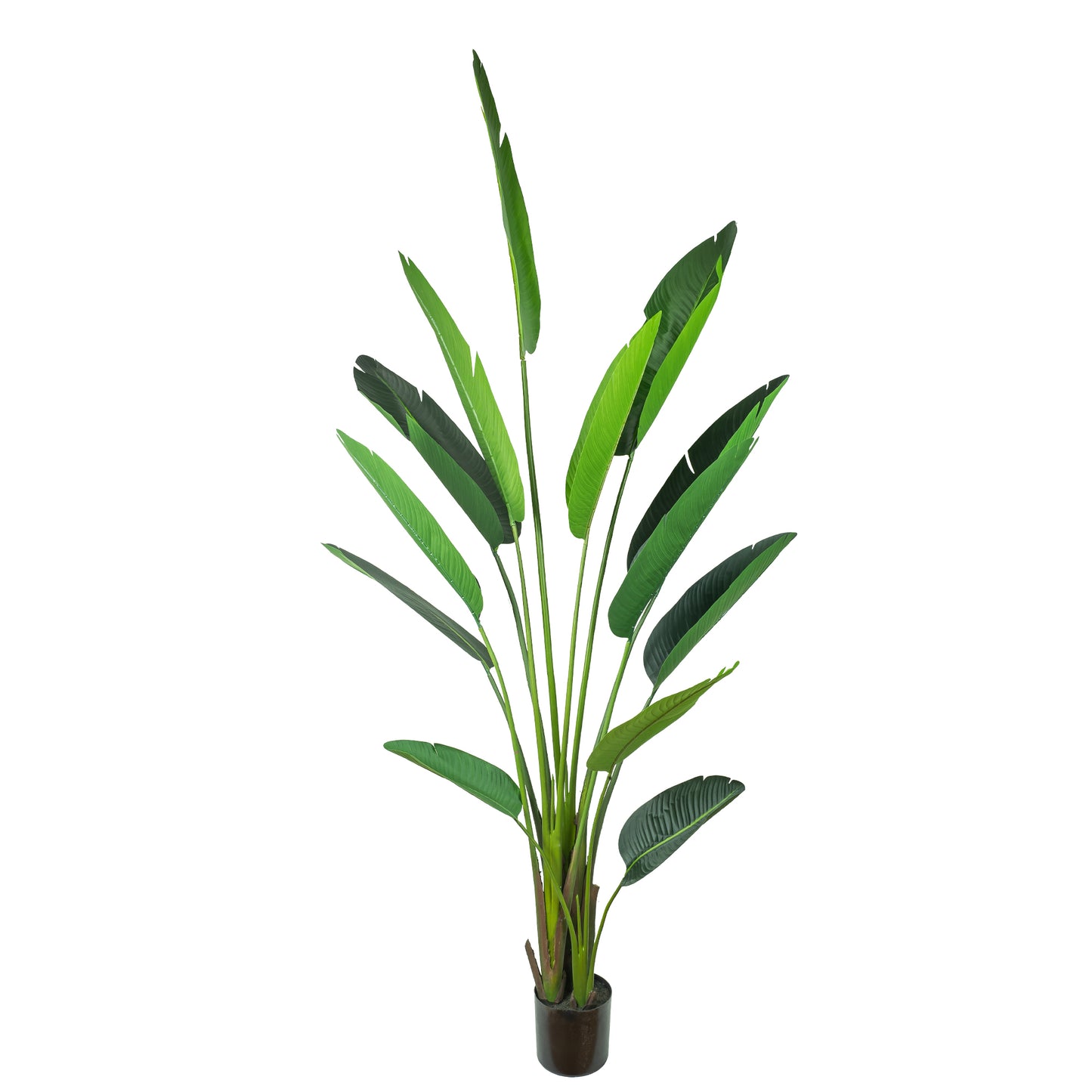 Glamorous Fusion 240cm Traveler Palm Tree - Artificial Flower Arrangements and Artificial Plants