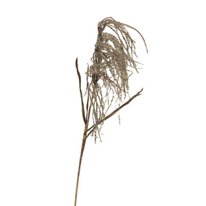 Dried Look Weeping Pamper Grass