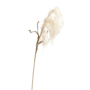 Open image in slideshow, Dried Look Weeping Pamper Grass
