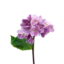 Load image into Gallery viewer, Real Touch Hydrangea Stem
