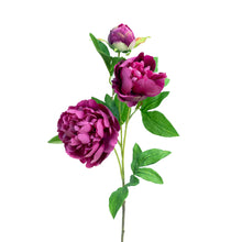 Load image into Gallery viewer, Peony Spray
