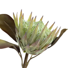 Load image into Gallery viewer, King Protea
