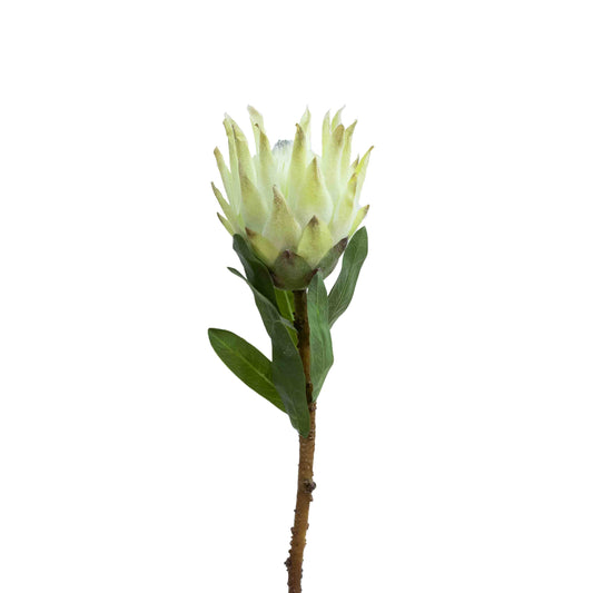 72cm Artificial Queen Protea Green