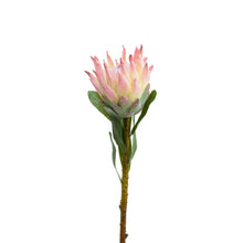 Load image into Gallery viewer, 72CM QUEEN PROTEA
