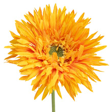 Load image into Gallery viewer, Daisy Gerbera
