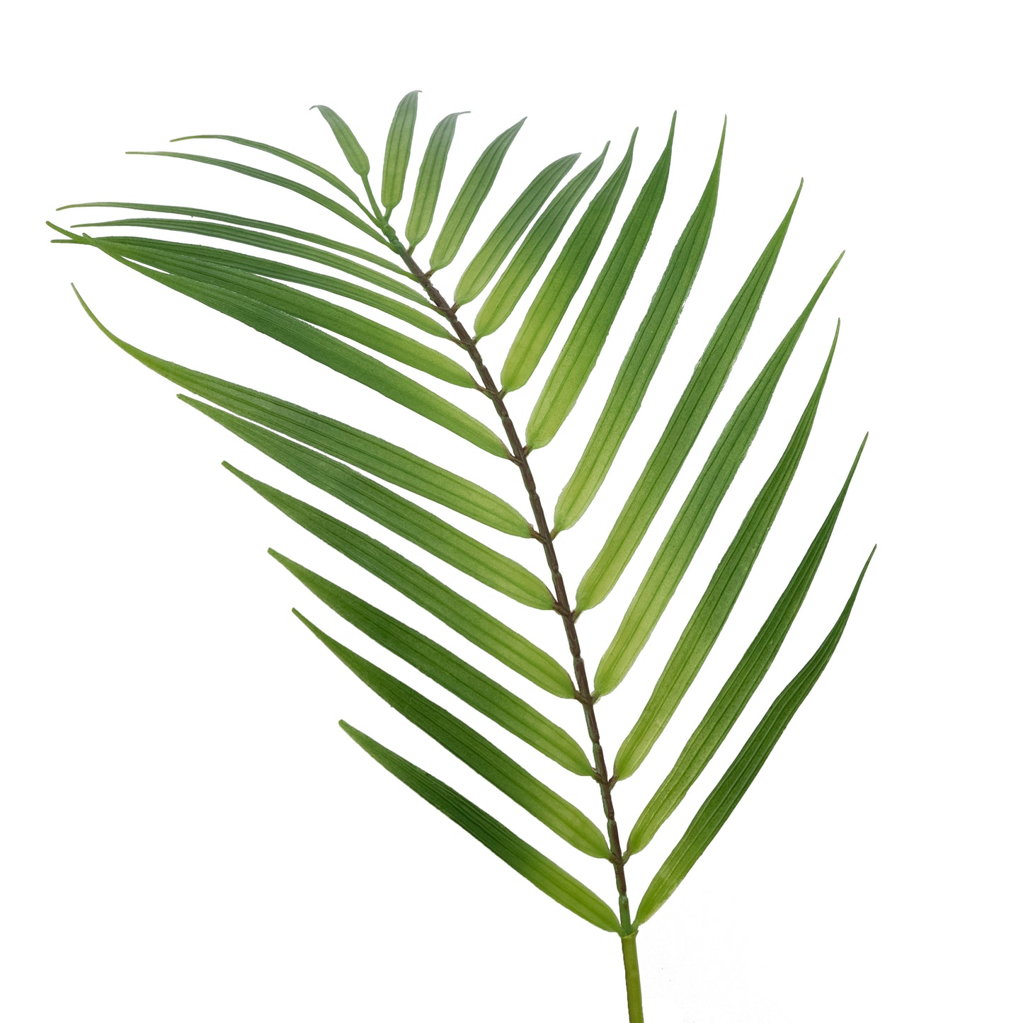 Plastic Areca Palm Leaf