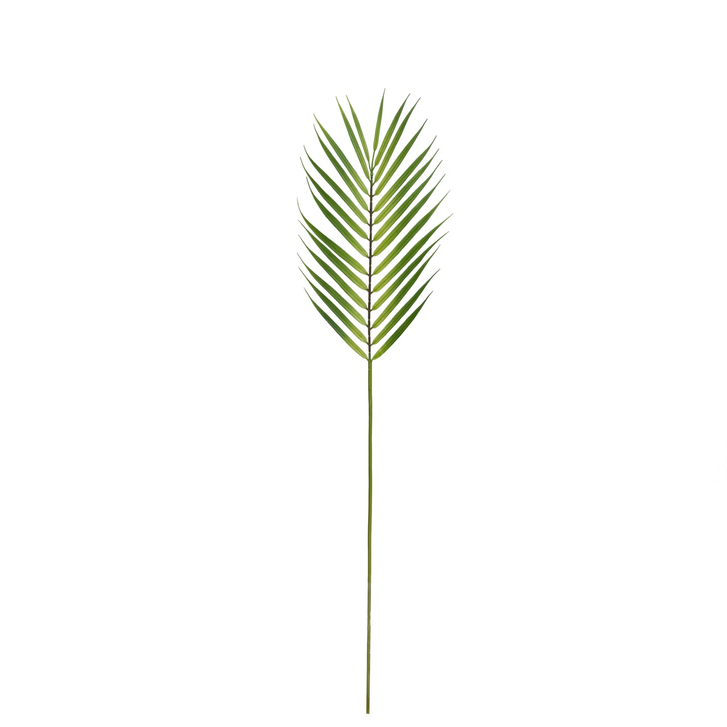 Plastic Areca Palm Leaf